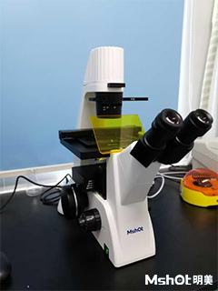 倒置荧光显微镜应用于湖南师范大学医学院免疫细胞检测1.jpg