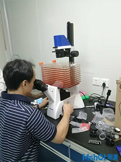 明美细胞工厂显微镜应用于细胞培养1.jpg