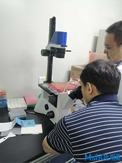 明美细胞工厂显微镜应用于细胞培养2.jpg