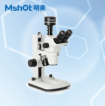 明美体视显微镜助力华侨大学泉州分校果蝇观察MZ62.jpg