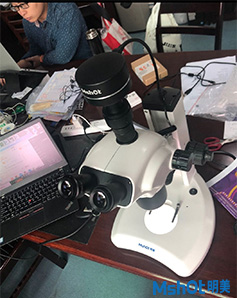 看植物花粉，叶尖等形貌用什么显微镜及显微镜相机.jpg