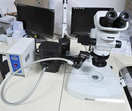 奥林巴斯体视显微镜紫外荧光升级