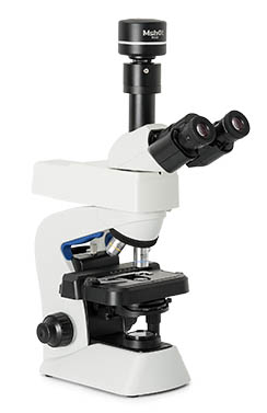荧光显微镜在食品领域内的相关应用