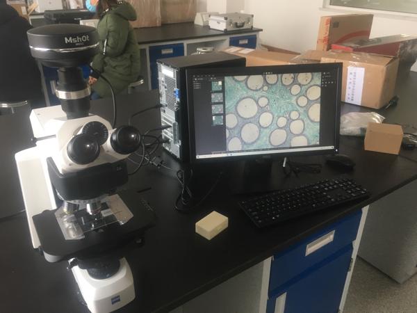 明美显微镜相机MSX2助力农科院植物标本的显微成像