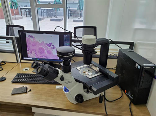明美显微镜相机用于活体细胞培养