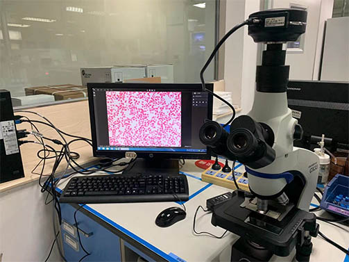 明美显微镜相机助力东莞市人民医院血细胞检测
