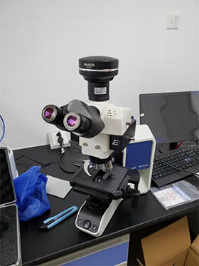荧光显微镜MF43-N.jpg