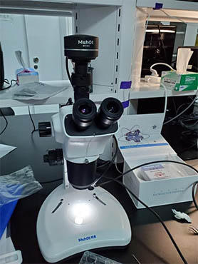 明美体视显微镜用于材料检测