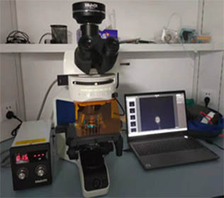 科研级荧光显微镜MF43-N.jpg