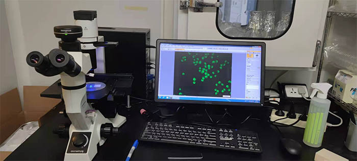 专业升级改造显微镜——LED荧光模块