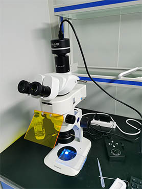 体视荧光显微镜.jpg