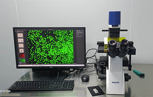 明美倒置荧光显微镜应用于肿瘤研究