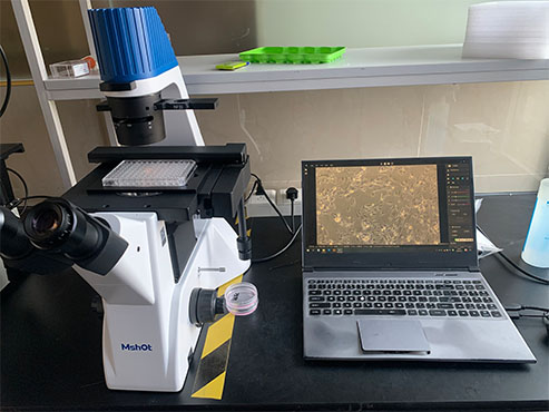 明美倒置显微镜用于细胞房中细胞培养