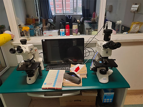 荧光显微镜下的真菌检测-临床应用