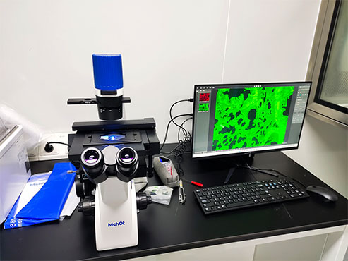 明美倒置荧光显微镜应用于细胞治疗
