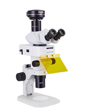 体视荧光显微镜MZX81.jpg