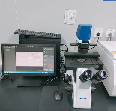 明美倒置显微镜助力兰州大学医学院细胞观察