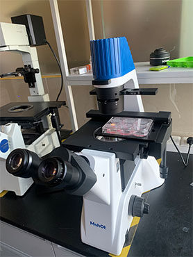 倒置显微镜助力南方医科大学细胞观察