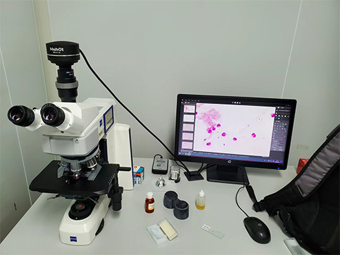 明美显微镜相机助力深圳市妇幼保健院妇科真菌检查