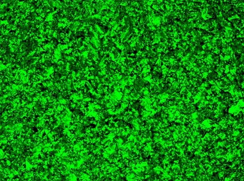 偏光显微镜下的液晶材料1.jpg