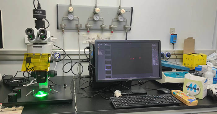 明美LED体视荧光显微镜落户北京大学，应用于细胞挑选实验