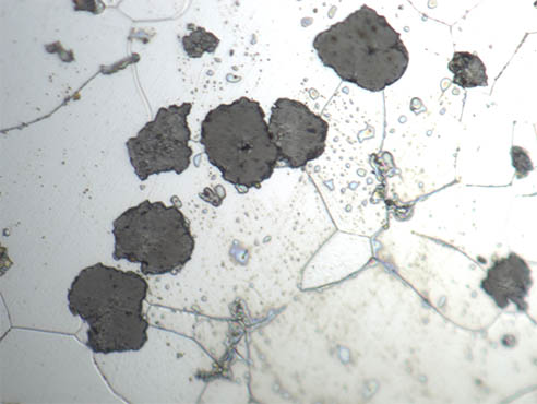 【材料分析】明美金相显微镜用于球墨铸铁观察