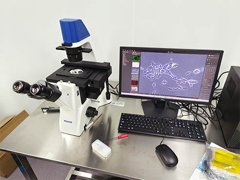 明美倒置荧光显微镜用于细胞培养观察
