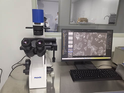 明美倒置显微镜用于乳腺癌细胞观察