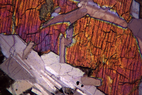 明美偏光显微镜鉴定不透明矿石的应用