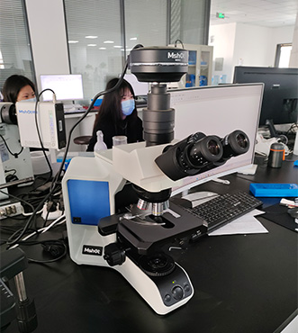 生物显微镜应用于病理切片成像
