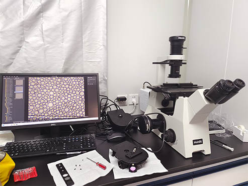 明美倒置荧光显微镜应用于微流控芯片检测