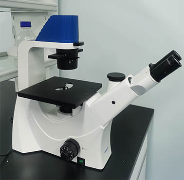 明美新款倒置生物显微镜助力南华大学细胞观察