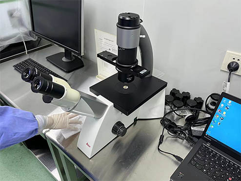 明美显微镜相机助力深圳市中山泌尿医院贴壁细胞观察