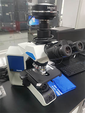 生物显微镜ML51-M2.jpg