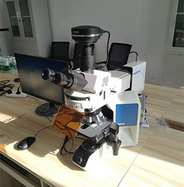 荧光显微镜MF43-N2.jpg