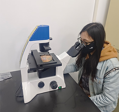 倒置显微镜助力武汉大学活细胞观察