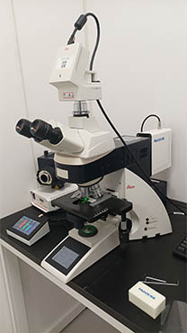 四通道荧光光源MG-120助力徕卡显微镜荧光观察