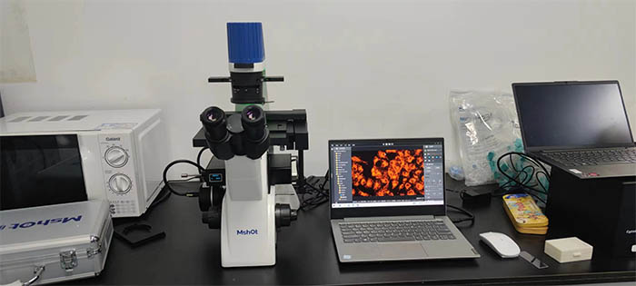 倒置荧光显微镜MF52-N.jpg