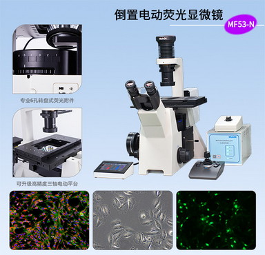 电动倒置荧光显微镜MF53-N.jpg