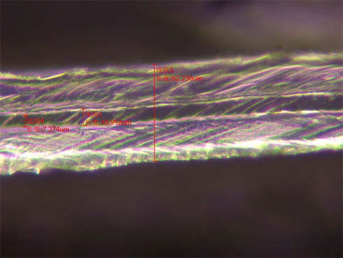 金相显微镜2.jpg