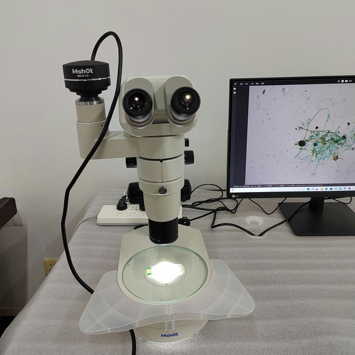微观世界的大奥秘：体视显微镜探索真菌孢子的神奇生命