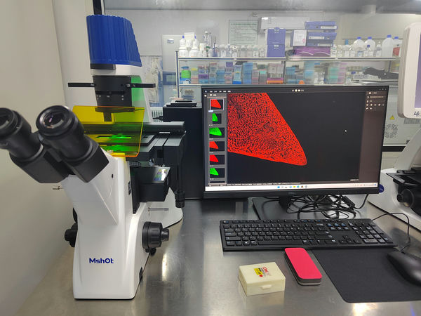 明美倒置荧光显微镜基助力靶向药物研究
