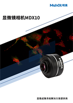 MDX10驱动软件